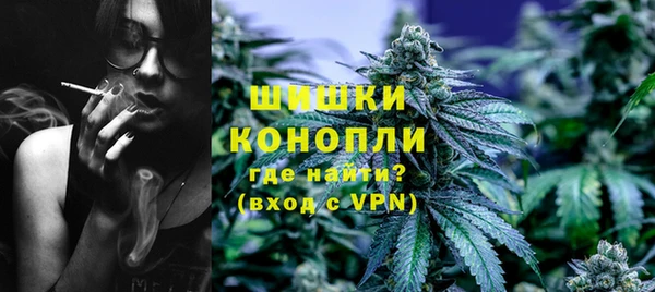 сатива Киреевск