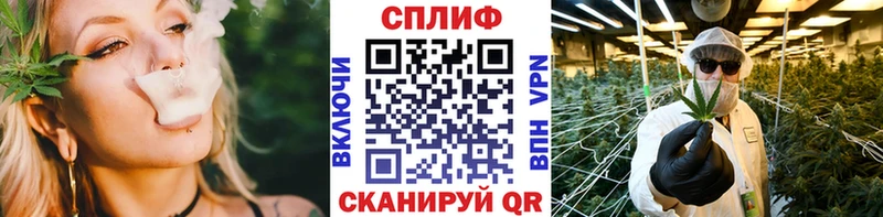 Конопля семена  Купить закладки  Егорьевск 
